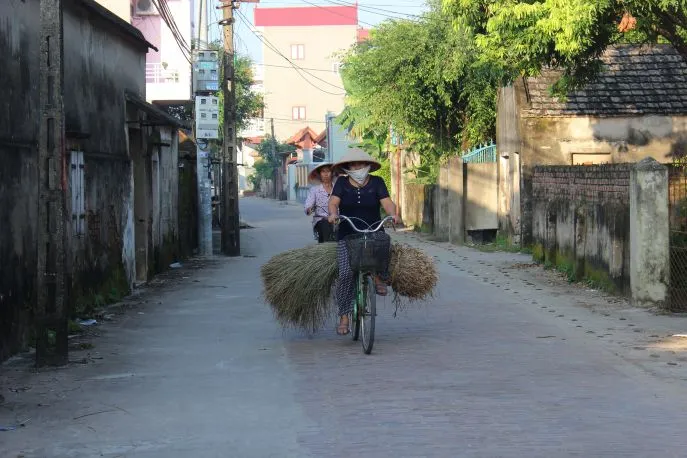 dimsum reizen vietnam tam coc yen mac