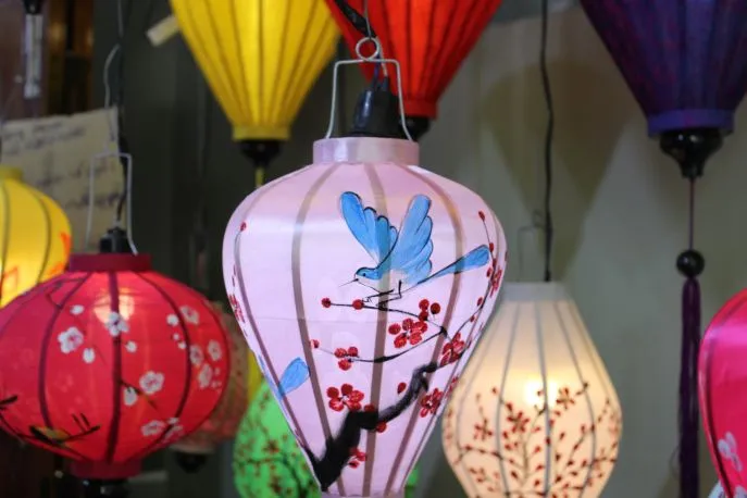 dimsum reizen vietnam hoi an 3