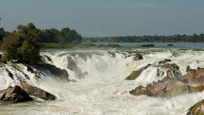 dimsum reizen kone phapheng