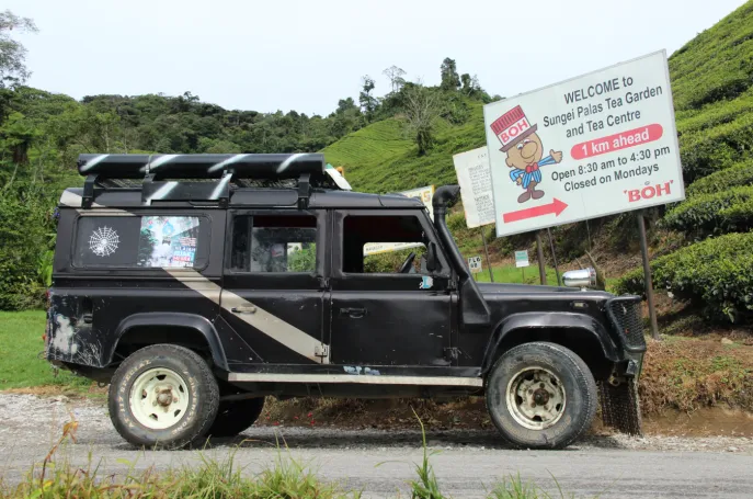 dimsum reizen maleisie cameron highlands boh thee plantage 2