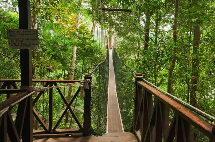 winterreis maleisie canopy walk taman negara