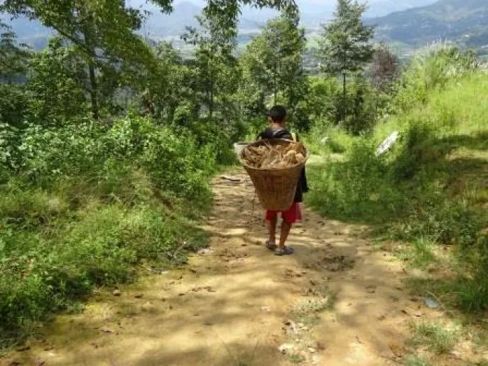 nepal rondreis hiking 2