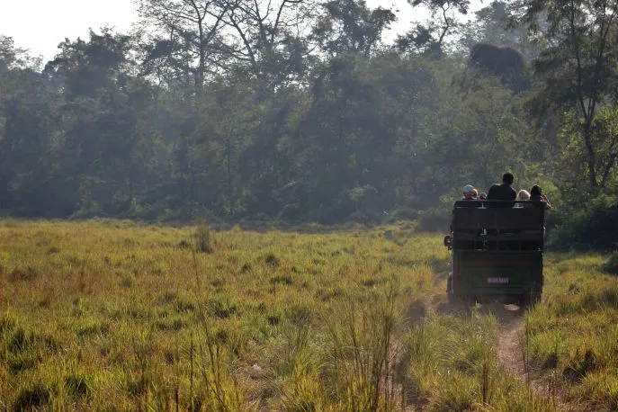 nepal chitwan safari 17