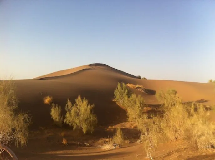 iran reis mesr