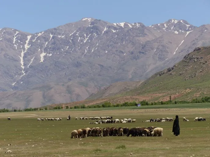 bakhtiari nabij chogsakor 17