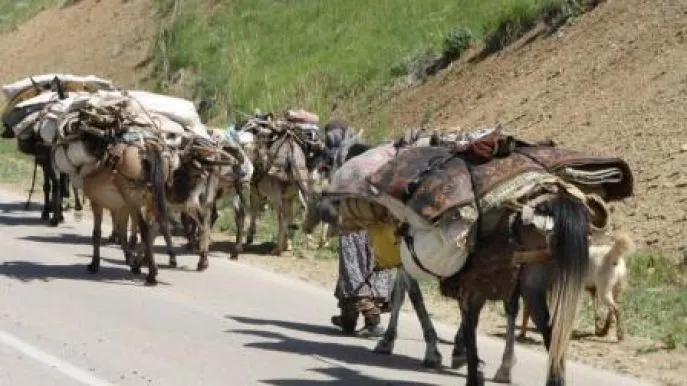 iran bakhtiari onderweg 3