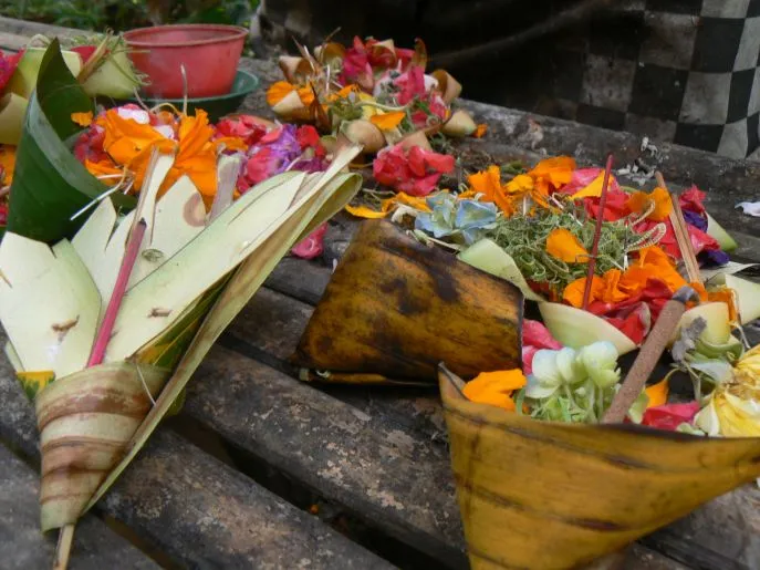 dimsum reizen indonesie ubud 2