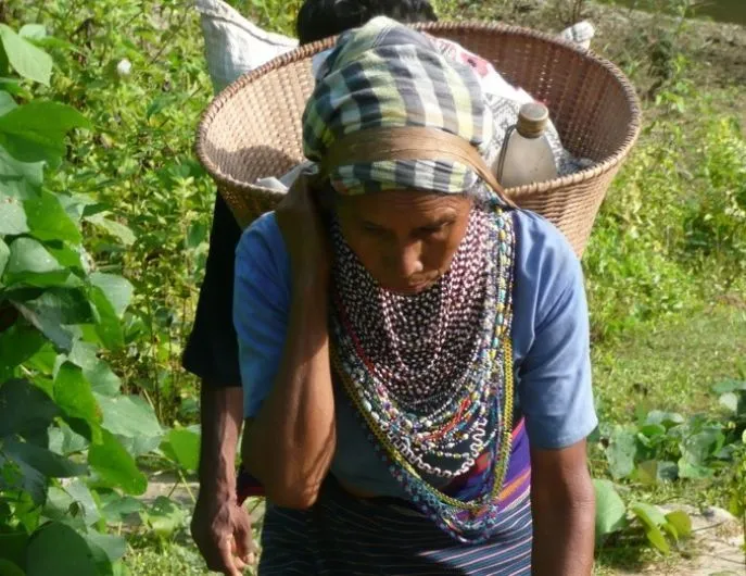 bangladesh individueel chittagong dimsum reizen