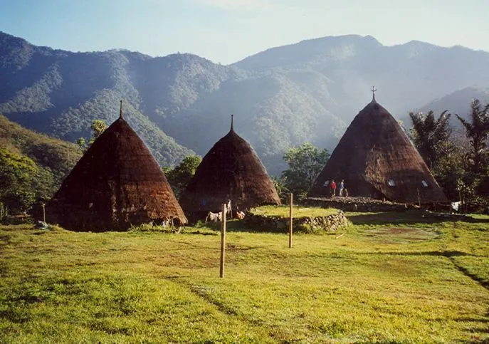 dimsum reizen naar flores indonesie wae rebo dorpje
