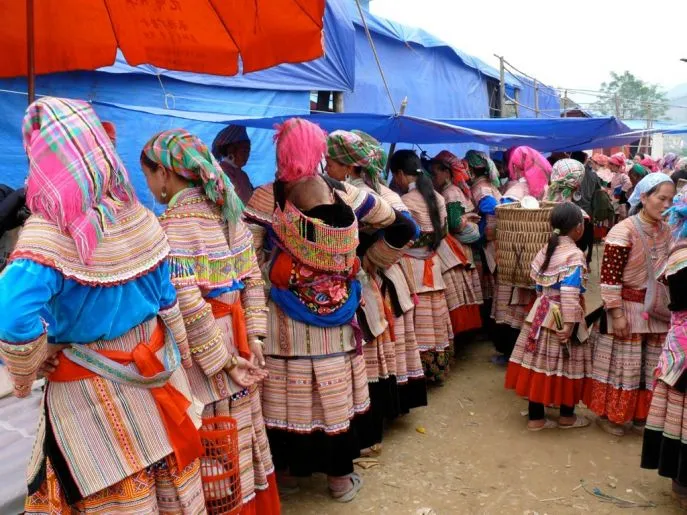 bac ha 2