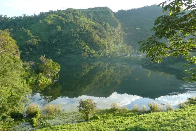 bangladesh theeplantages 2