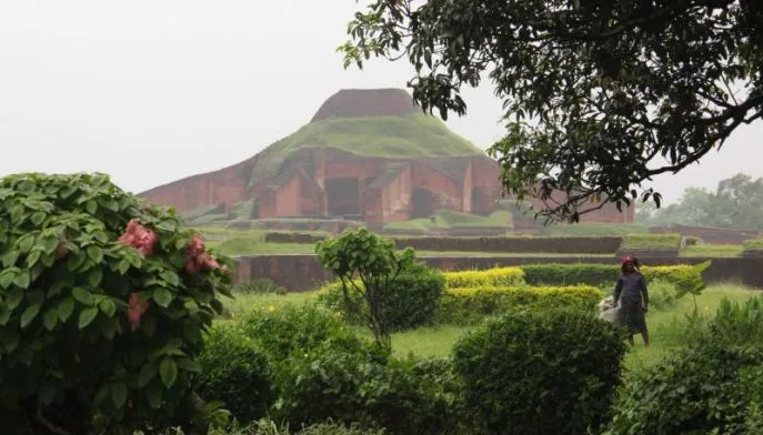 bangladesh reis paharpur