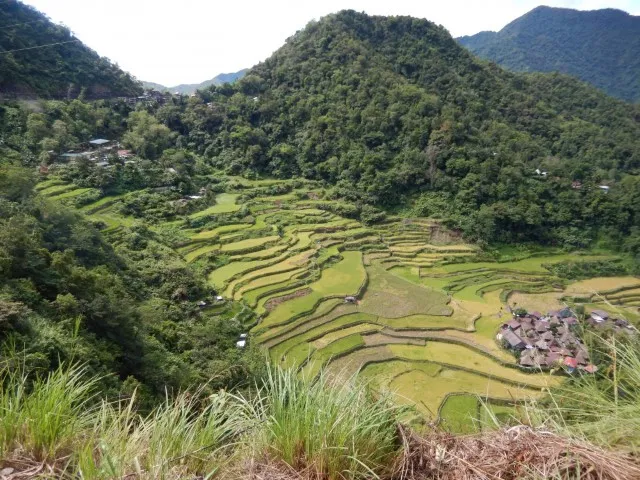 rijstvelden-batad
