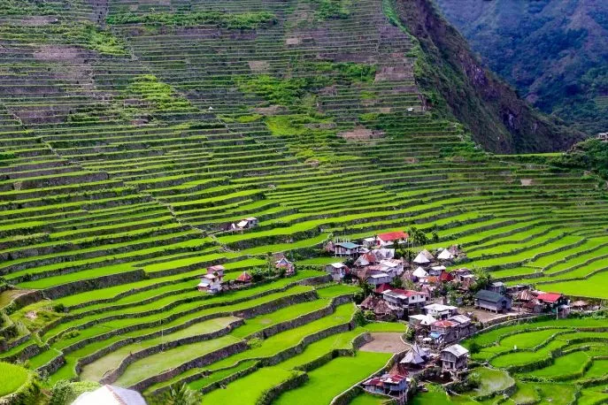 banaue rijstterrassen filipijnen 9