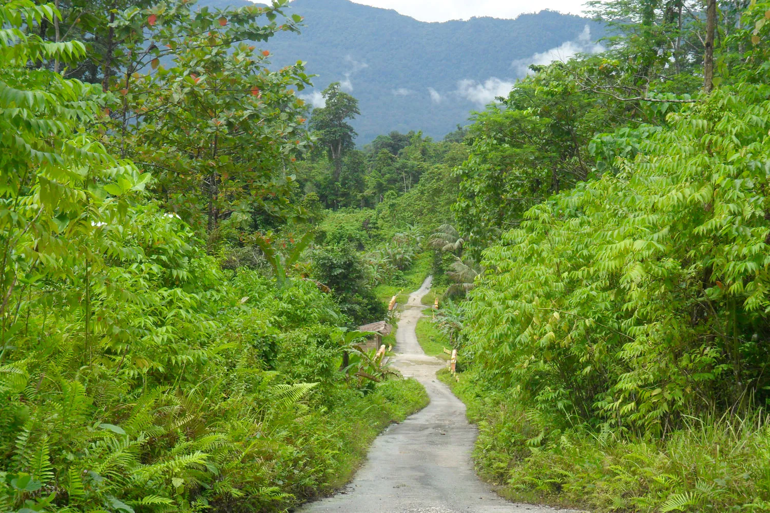 Central-Sulawesi-bada-vallei