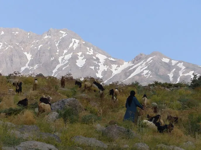 mt dena conservation area iran 3