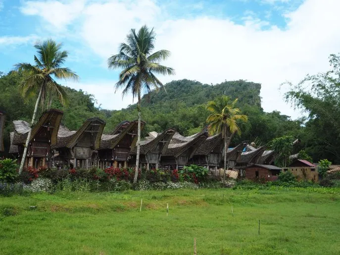 dimsum reizen torajaland indonesie