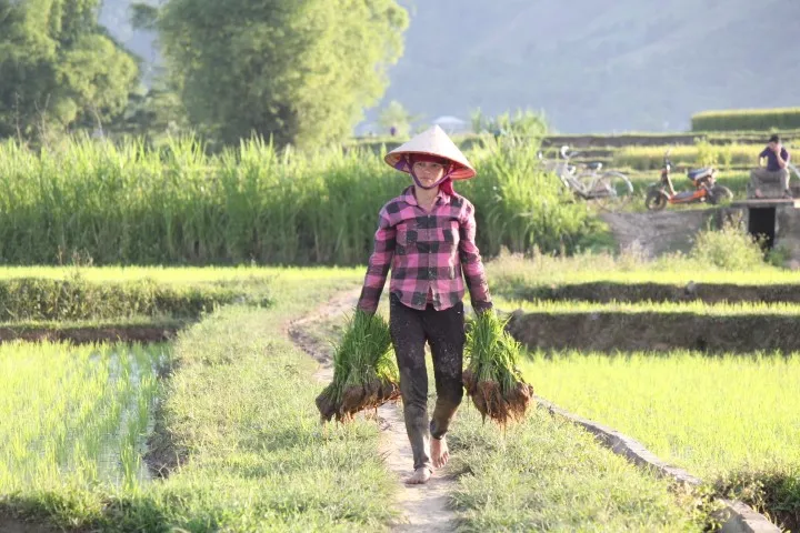 nghia-lo-noordwest-vietnam