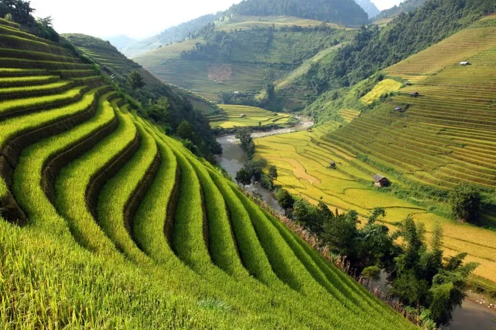 mu-cang-chai-rijstterrassen