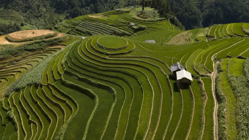 mu-cang-chai-rijstvelden