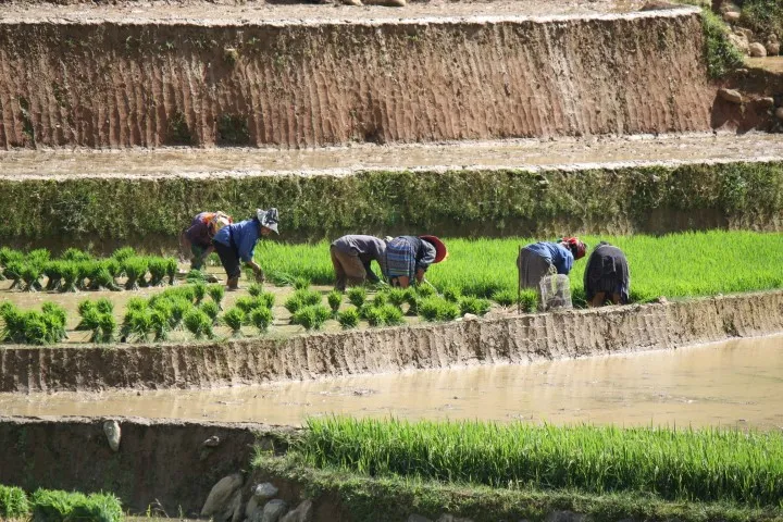 ta-cho-wandeling-lokale-dorpen-vietnam