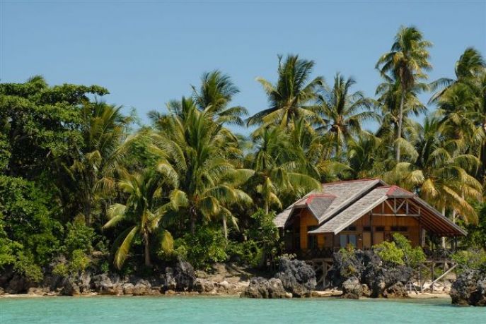 dimsum reizen naar de jungle van kalimantan indonesi borneo