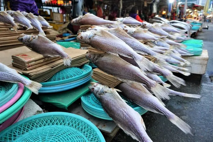 vismarkt jagalchi zuidkorea dimsum reizen individuele reizen busan