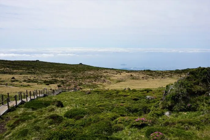 dimsum hoogtepunten reis zuidkorea jeju eiland mt hallasan