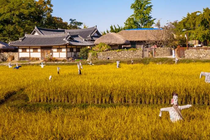 dimsum reizen naar oeamri folk village asan zuidkorea
