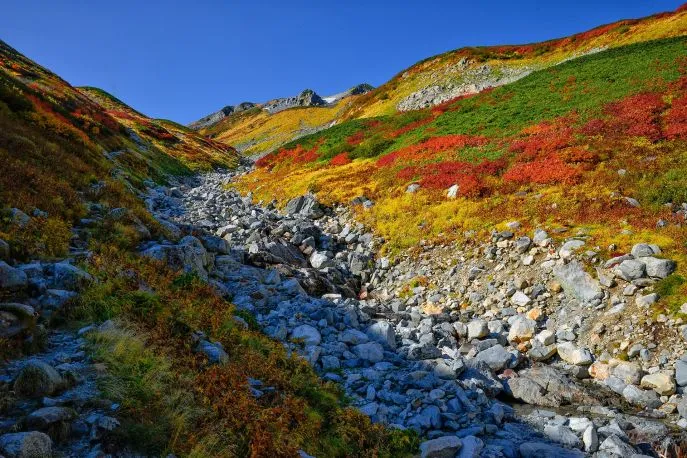 autumn japanse alpen