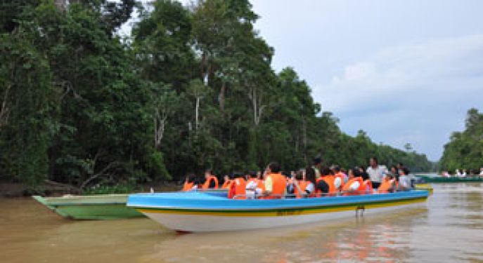 dimsum reizen maleisie sabah op oost borneo kinabatangan rivier