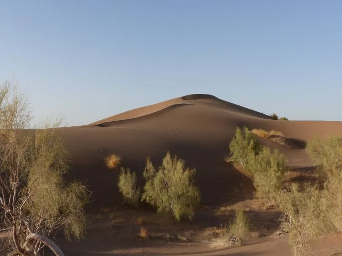 dimsum reizen woestijnreis iran mesr