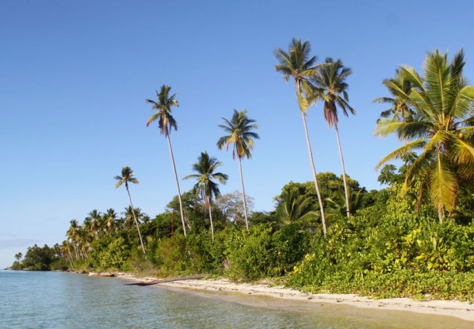 dimsum reizen indonesie zuidoost sulawesi hoga island resort