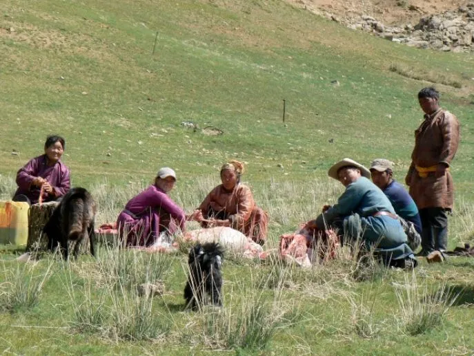 mongolie khustai nomaden