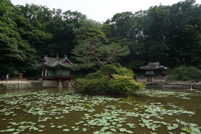 dimsum reizen naar zuid korea secret garden in seoul changdeokgung paleis 2