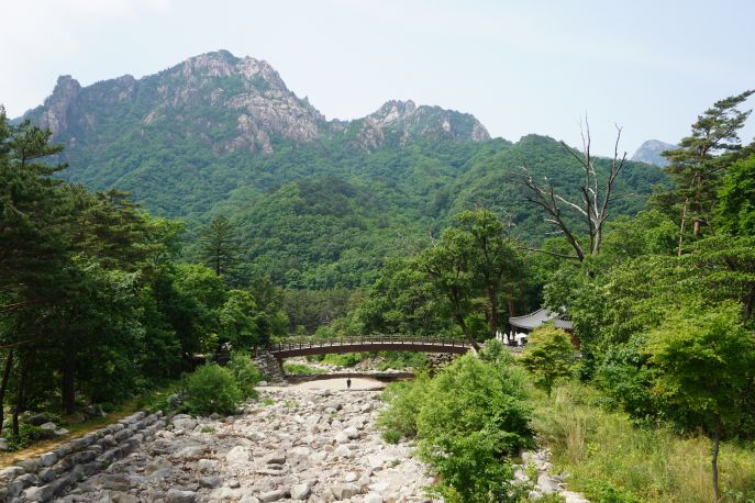 dimsum reizen complete rondreis zuidkorea sokcho seoraksan nationaal park