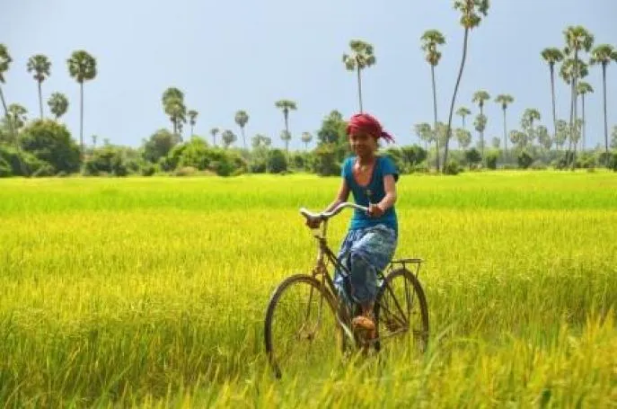 dimsum reizen cambodja fietsen in kampot 2