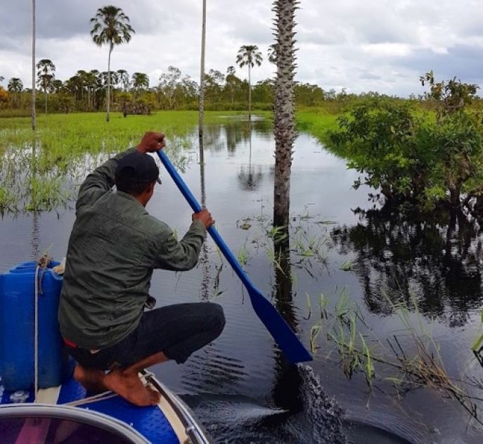 dimsum reizen op avontuur bij de korowai west papua 2