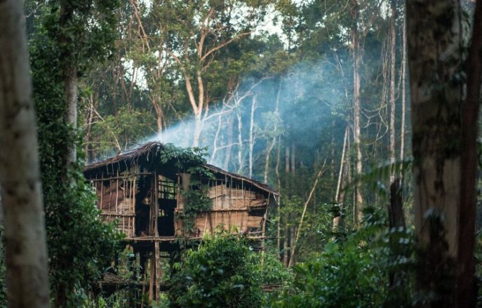 dimsum reizen naar west papua op zoek naar de korowai
