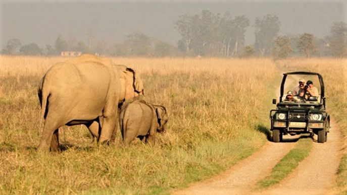 9 dimsum india rondreis corbett national park