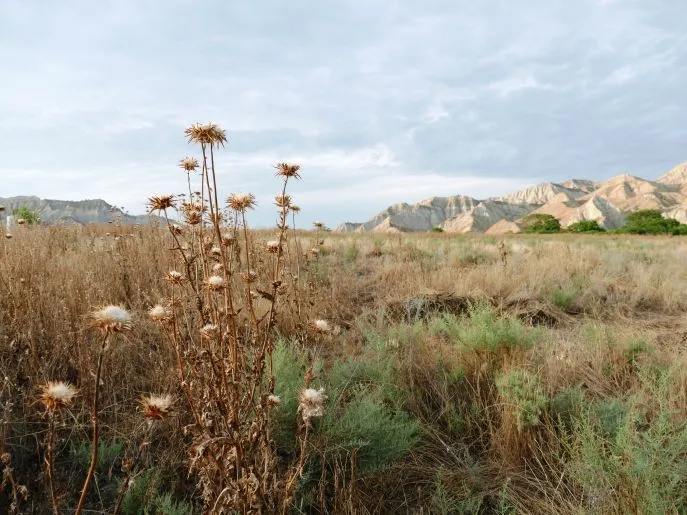 vashlovani park 2019 45