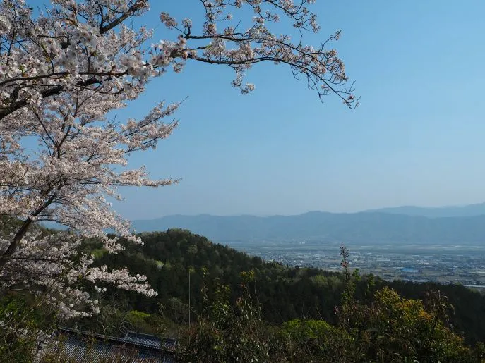 88 temple route ohenro pilgrimage japan