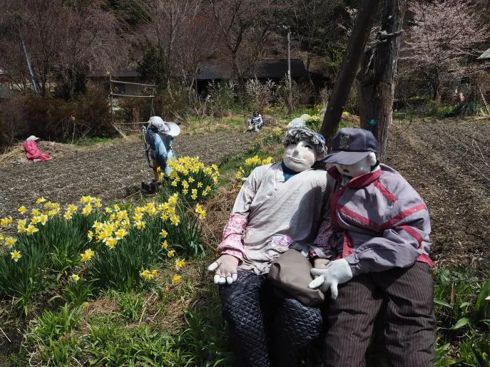 japanshikokuiyavalley 47781502392 o