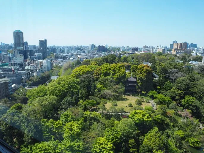 japantokyo 47043963534 o