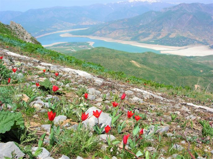 17 dimsum avontuurlijk oezbekistan rondreis view from the peak small chimghan