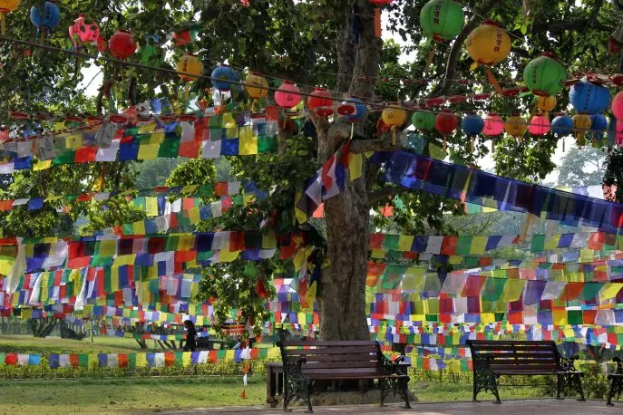 nepal lumbini 5