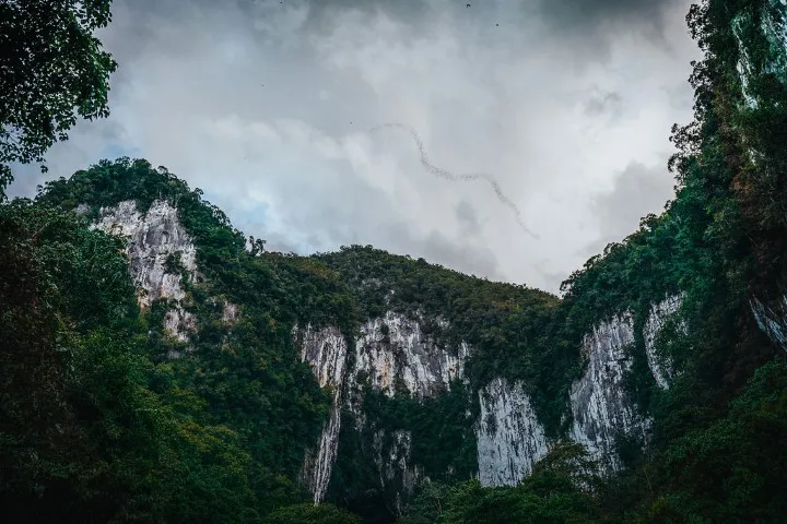 Mulu-nationaal-park-sarawak
