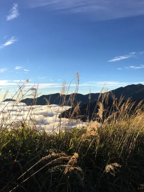 nenggao trail taiwan dimsum reizen