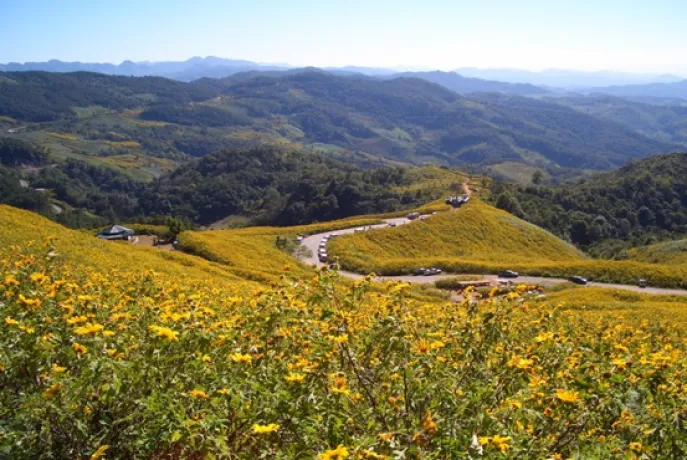 dimsum selfdrive noord thailand individuele reis 3