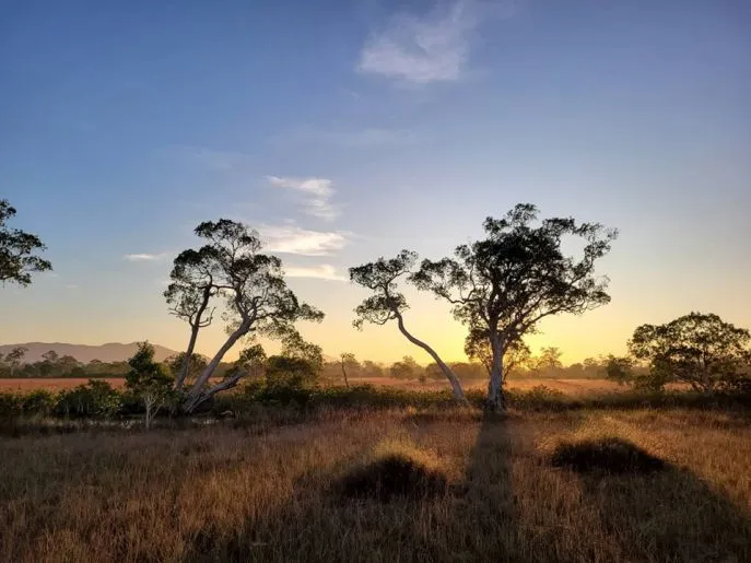 the moken eco village dimsum reizen